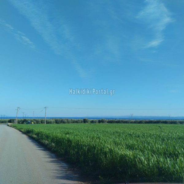 Portaria-06