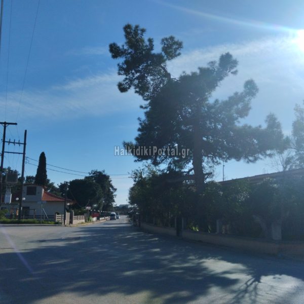 Portaria-08