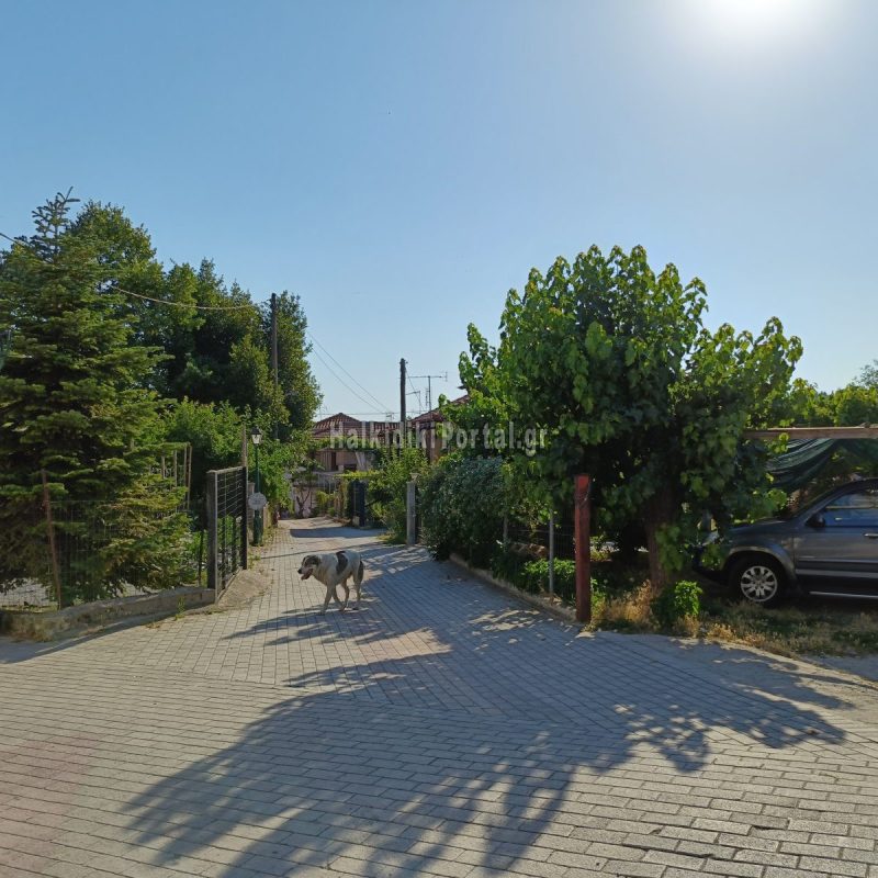 agia-paraskevi-kai-loutra-17