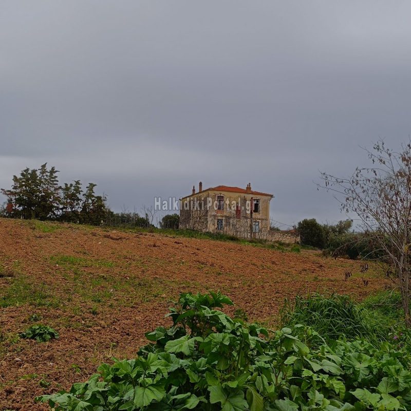 agios-mamas-18