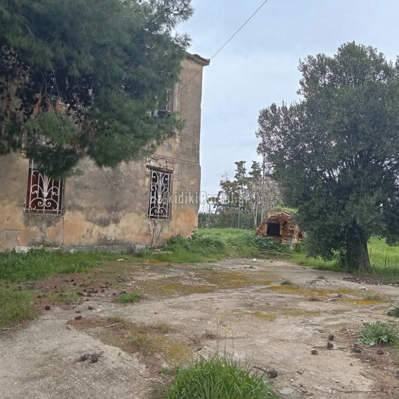 agios-mamas-20