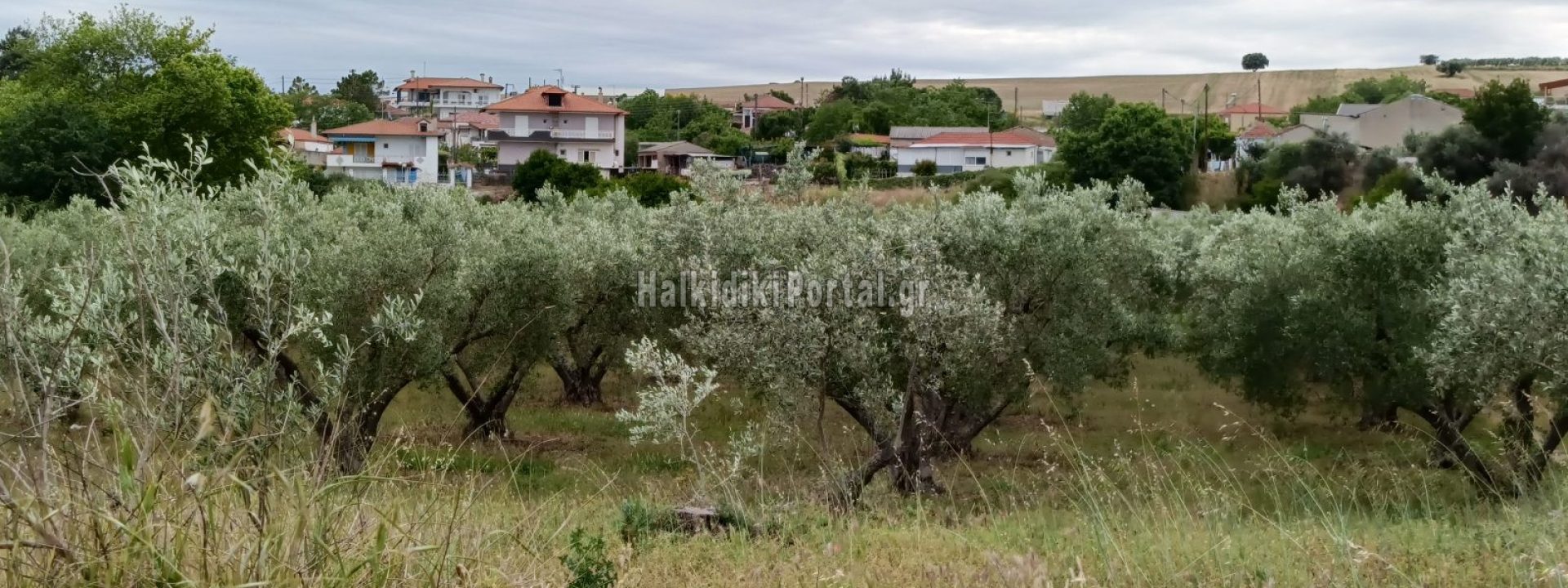 agios-panteleimonas-01