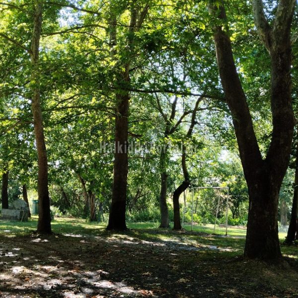 agios-prodromos-23