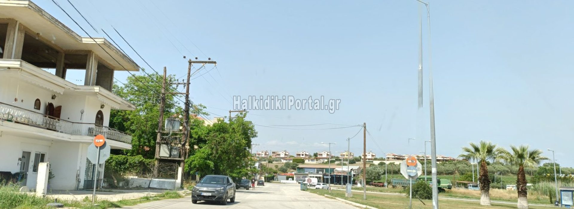 nea-flogita-01