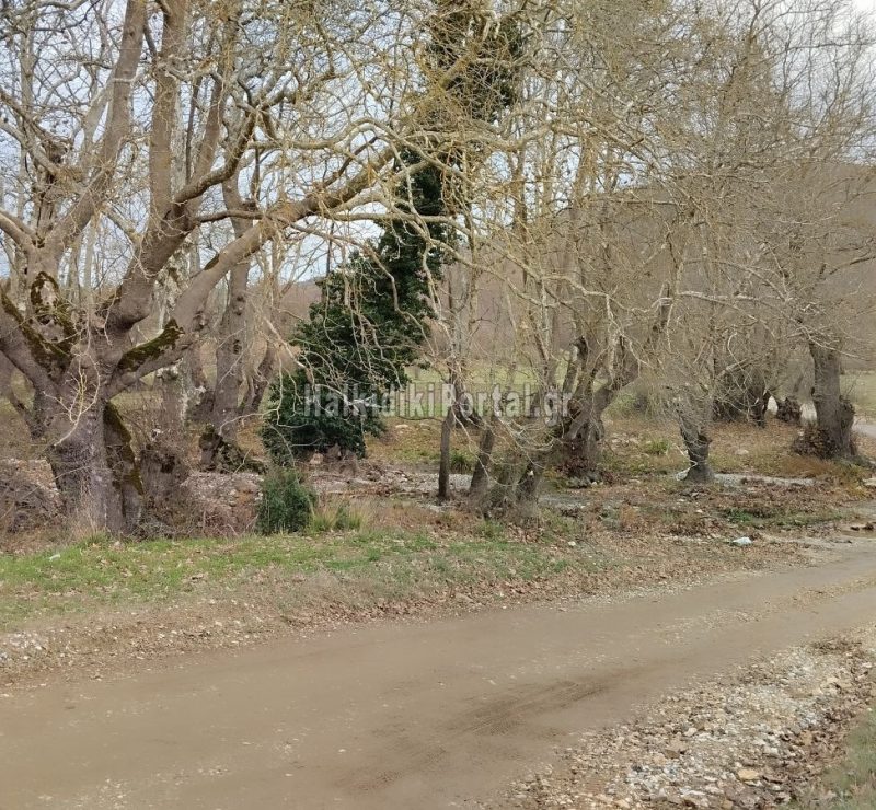 palaiokastro-dromos-gia-agia-paraskevi