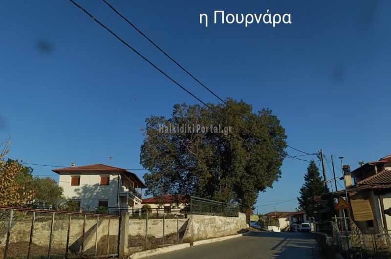 Oplus_131072