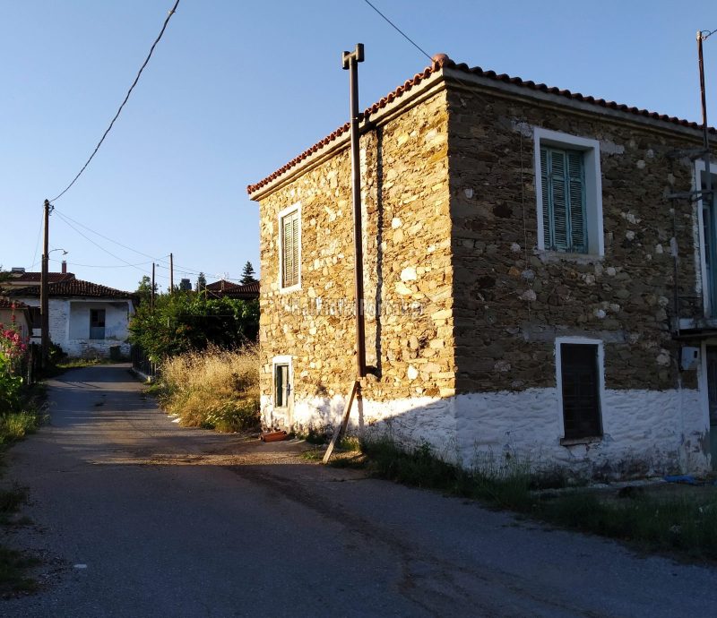 plana-16