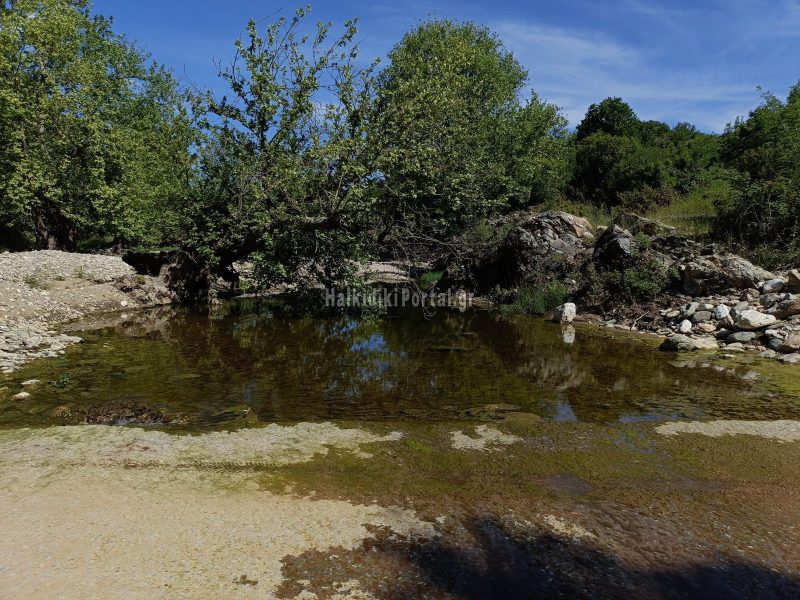 stanos-12